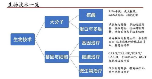 嘉和硬科技捕手记 科技企业孵化器如何发现与评估生物医药产业黑马